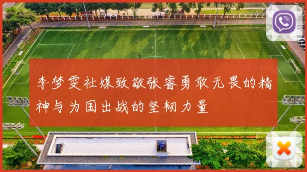 李梦雯社媒致敬张睿勇敢无畏的精神与为国出战的坚韧力量