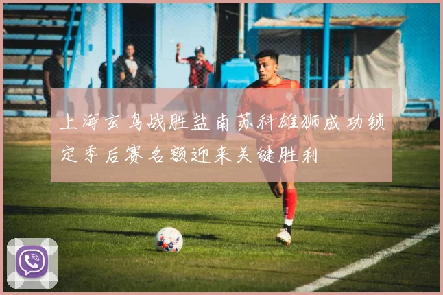 上海玄鸟战胜盐南苏科雄狮成功锁定季后赛名额迎来关键胜利